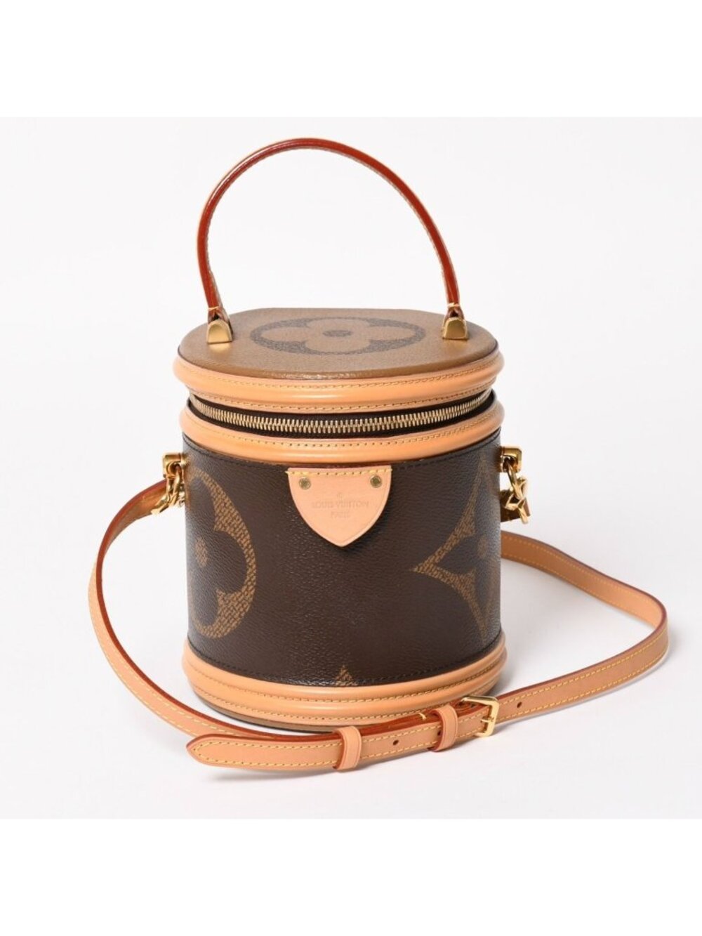 Louis Vuitton Cannes Vanity Monogram Giant Brown Reverse Shoulder Bag